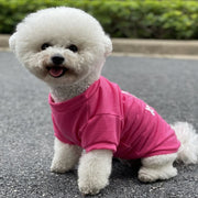 ペットウェア ドッグウェア カットソー 犬用 猫用 小型犬 子犬 パピー 袖あり ロゴ 英字 キスマーク お散歩 お出かけ おしゃれ かわいい