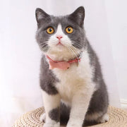 首輪 カラー 猫用 犬用 小型犬 ペット用品 ワンタッチバックル 鈴付き チェック柄 小魚 かわいい おしゃれ お散歩 お出かけ
