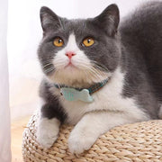首輪 カラー 猫用 犬用 小型犬 ペット用品 ワンタッチバックル 鈴付き チェック柄 小魚 かわいい おしゃれ お散歩 お出かけ