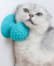 セルフグルーミングブラシ グルーミングブラシ 猫用品 猫 ペット用お手入れ用品 お手入れ グルーミング用品 ブラシ ペット 吸盤付き 猫用マッサージブラシ ブルー グレー スクラッチャー