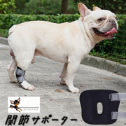 関節サポーター ペット用 犬用 猫用 単品 プロテクター ショートタイプ 関節サポート 固定 リハビリ 床ずれ予防 冷え防止 マジック テープ 調節可能 飛節 かかと 後肢 前肢 後ろ足 前足 ケア用品 老犬介護 介護用品 シニア 肘当て 腕 老齢犬 介護グッズ イヌ用 いぬ用 ネコ用 ねこ用 S M L XL 黒 ブラック