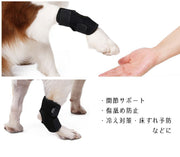 関節サポーター ペット用 犬用 猫用 単品 プロテクター ショートタイプ 関節サポート 固定 リハビリ 床ずれ予防 冷え防止 マジック テープ 調節可能 飛節 かかと 後肢 前肢 後ろ足 前足 ケア用品 老犬介護 介護用品 シニア 肘当て 腕 老齢犬 介護グッズ イヌ用 いぬ用 ネコ用 ねこ用 S M L XL 黒 ブラック