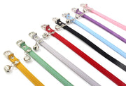 首輪 ネコ 猫 小型犬 イヌ 小動物 ペットグッズ ペット用品 Dカン バックル 鈴付き 無地 ブラック グレー ピンク シンプル カジュアル かわいい キュート お散歩 お出かけ 迷子防止