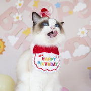 ペット 誕生日 スタイ セット  ペットスタイ 2点セット 帽子 よだれかけ バースデー リボン 犬 猫 フォト お祝い パーティー イベント ペット用品 写真 記念 撮影 ペットグッズ ギフト