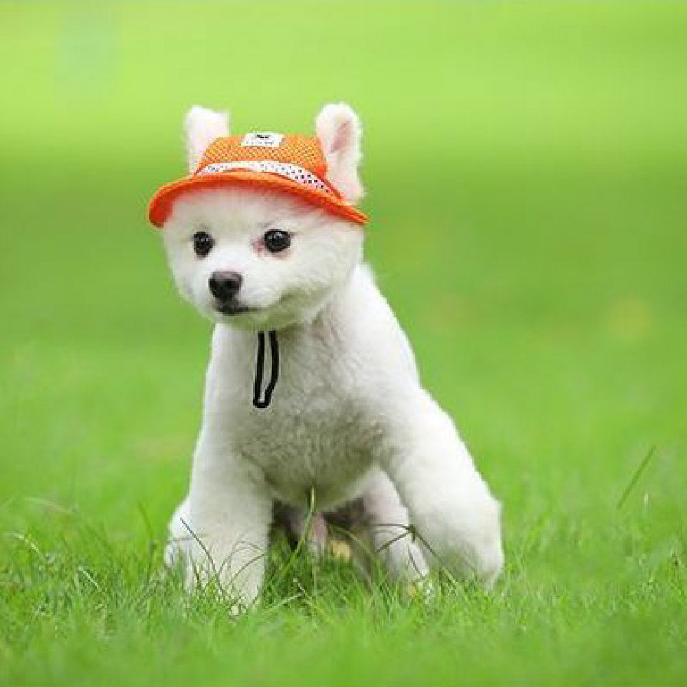 ペット用 犬用 帽子 ハット ドッグハット リボン 商品画像5