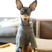 ペットウエア カットソー 犬 猫 小型犬 リブ 袖あり ボーダー 無地 春 秋 お散歩 お出掛け おめかし ペット用品 ハイネック Tシャツ ドッグウエア キャットウエア シンプル