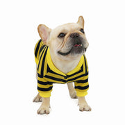 ペットウエア ドッグウエア 犬の服 ペット用 犬用 Ｔシャツ カットソー ボーダー ストライプ 袖あり シンプル かわいい おしゃれ