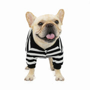 ペットウエア ドッグウエア 犬の服 ペット用 犬用 Ｔシャツ カットソー ボーダー ストライプ 袖あり シンプル かわいい おしゃれ