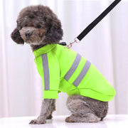 ドッグウェア ペットウェア Dカン ペット用品 ペット服 犬の服 犬服 猫服 洋服 トレーナー 犬 イヌ 猫 ネコ ライン入り ボーダー 重ね着風 ハイネック 袖あり 反射テープ付き 夜間 お散歩 お出かけ カジュアル お洒落 可愛い