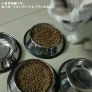 犬用食器 ペットフードボウル フードボール ペット用品 犬 猫 イヌ ネコ 滑り止め付き 餌皿 ご飯 肉球 足型 シンプル ステンレス 餌入れ 水入れ