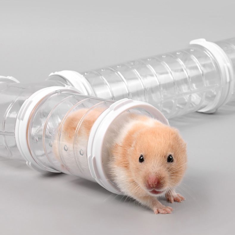 ハムスタートンネル ハムスターパイプ ペット用おもちゃ 小動物用おもちゃ アスレチック ジョイント 商品画像4