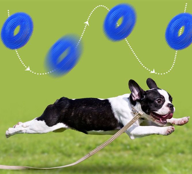 犬用おもちゃ 噛むオモチャ 音が出る 噛んで歯磨き 歯磨きおもちゃ ドッグ 商品画像3
