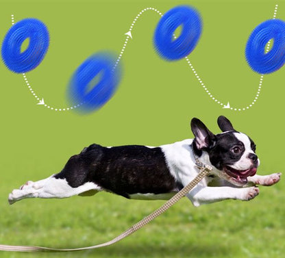 犬用おもちゃ 噛むオモチャ 音が出る 噛んで歯磨き 歯磨きおもちゃ ドッグ 商品画像3