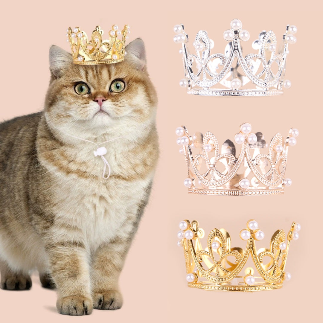 ペット用ヘッドアクセサリー ヘッドバンド 王冠 クラウン 猫 犬 商品画像3