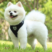 ハーネス リード 2点セット ペット用品 ペットグッズ 犬用 猫用 イヌ ネコ お散歩グッズ メッシュ 通気性 反射材 長さ調節可 ワッペン付き バックル 着脱簡単 小型犬 中型犬 シンプル カジュアル かわいい かっこいい お出かけ 散歩 黒 青 ピンク 赤