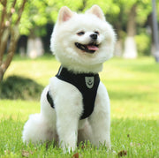ハーネス リード 2点セット ペット用品 ペットグッズ 犬用 猫用 イヌ ネコ お散歩グッズ メッシュ 通気性 反射材 長さ調節可 ワッペン付き バックル 着脱簡単 小型犬 中型犬 シンプル カジュアル かわいい かっこいい お出かけ 散歩 黒 青 ピンク 赤