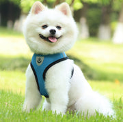 ハーネス リード 2点セット ペット用品 ペットグッズ 犬用 猫用 イヌ ネコ お散歩グッズ メッシュ 通気性 反射材 長さ調節可 ワッペン付き バックル 着脱簡単 小型犬 中型犬 シンプル カジュアル かわいい かっこいい お出かけ 散歩 黒 青 ピンク 赤