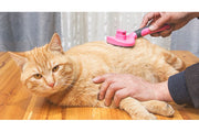 スリッカーブラシ 抜け毛 ムダ毛 毛玉取り 犬 猫 ペット用品 お手入れ ブラッシング グルーミング ワンプッシュで抜け毛除去