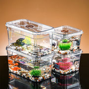 ミニ水槽 金魚鉢 単品 持ち手 取っ手 ハンドル 持ち運び 移動 小型 小さめ 積み重ね 魚 メダカ 金魚 熱帯魚 飼育 ペット用品 水族館 アクアリウム 卓上 おしゃれ