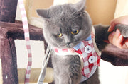 ハーネス リード 2点セット 猫用 ネコ ペットグッズ 胴輪 散歩紐 牽引紐 平紐  チェック柄 ドット柄 蝶ネクタイ メッシュ 通気性 ナスカン 長さ調節可能 脚を通すタイプ 猫用品 猫グッズ おしゃれ おでかけ お散歩 外遊び アウトドア 公園 外出 グレー ピンク ブルー 青 ベージュ 灰 CAT