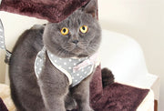 ハーネス リード 2点セット 猫用 ネコ ペットグッズ 胴輪 散歩紐 牽引紐 平紐  チェック柄 ドット柄 蝶ネクタイ メッシュ 通気性 ナスカン 長さ調節可能 脚を通すタイプ 猫用品 猫グッズ おしゃれ おでかけ お散歩 外遊び アウトドア 公園 外出 グレー ピンク ブルー 青 ベージュ 灰 CAT