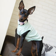 ペット服 ドッグウエア タンクトップ 犬服 猫服 ボーダー ノースリーブ 袖なし Tシャツ ペットグッズ お出掛け お散歩 春 夏 秋 白 黒 赤 青 ピンク 横縞