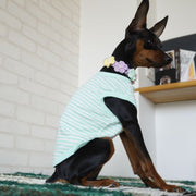 ペット服 ドッグウエア タンクトップ 犬服 猫服 ボーダー ノースリーブ 袖なし Tシャツ ペットグッズ お出掛け お散歩 春 夏 秋 白 黒 赤 青 ピンク 横縞