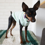 ペット服 ドッグウエア タンクトップ 犬服 猫服 ボーダー ノースリーブ 袖なし Tシャツ ペットグッズ お出掛け お散歩 春 夏 秋 白 黒 赤 青 ピンク 横縞