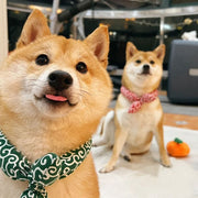 ペット用 スカーフ バンダナ アクセサリー 犬 猫 首飾り ゴム 簡単装着 唐草模様 リボン 散歩 おめかし かわいい おしゃれ