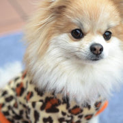 ドッグウェア トレーナー ペットウェア キャットウェア 犬服 犬 猫 フリース プルオーバー クルーネック ヒョウ柄 水玉 可愛い 猫服 冬 秋 春 レオパード柄