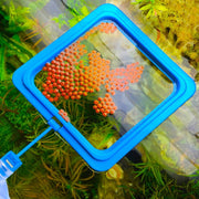 フィーダーカップ 餌入れ フード枠 熱帯魚 観賞魚 アクアリウム用品 エサ入れ 給餌 吸盤 散乱防止 ラウンド スクエア 丸型 正方形 散らばらない