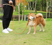 リード 反射材 犬用 ペット用品 牽引紐 散歩紐 縄 リーシュ 1.5m ナスカン 簡単装着 持ちやすい 夜光 夜間 ペットグッズ お出掛け イヌ用