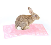 小動物用すのこ スノコ ケージマット 休足マット 穴あき ペット用品 長方形 四角形 水洗い可 ウサギ モルモット チンチラ ハムスター ペットグッズ