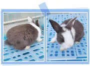 小動物用すのこ スノコ ケージマット 休足マット 穴あき ペット用品 長方形 四角形 水洗い可 ウサギ モルモット チンチラ ハムスター ペットグッズ