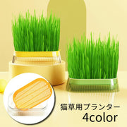 猫草用プランター 水耕栽培 ペット用品 猫 屋内用 室内 栽培 猫草 葉っぱ 毛玉対策 胃腸 ストレス軽減 便秘予防 ねこ草