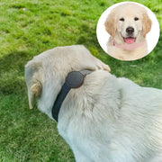 首輪 ペット用 犬用 猫用 AirTagケース付き ベルトタイプ エアタグケース付き レザー調 迷子防止 紛失防止 軽量 無地 シンプル かわいい イヌ ネコ カラー パステル ブラック 黒 ブラウン ピンク ブルー