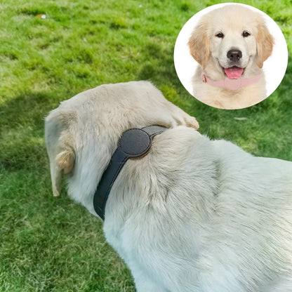 首輪 ペット用 犬用 猫用 AirTagケース付き ベルトタイプ 商品画像2