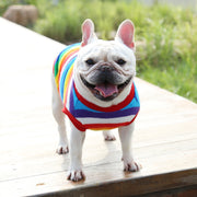 ドッグウエア ペットウエア タンクトップ ボーダー柄 カラフル レインボー 虹色 ミックスボーダー 犬の服 犬服 リブ プルオーバー ラウンドネック 洋服 猫服 カジュアル かわいい キュート おしゃれ 犬用 小型犬 中型犬 春 秋 冬 ペット用品 お散歩 外遊び 公園 普段着 お出かけ ペットグッズ ワンちゃん