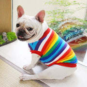 ドッグウエア ペットウエア タンクトップ ボーダー柄 カラフル レインボー 虹色 ミックスボーダー 犬の服 犬服 リブ プルオーバー ラウンドネック 洋服 猫服 カジュアル かわいい キュート おしゃれ 犬用 小型犬 中型犬 春 秋 冬 ペット用品 お散歩 外遊び 公園 普段着 お出かけ ペットグッズ ワンちゃん