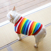 ドッグウエア ペットウエア タンクトップ ボーダー柄 カラフル レインボー 虹色 ミックスボーダー 犬の服 犬服 リブ プルオーバー ラウンドネック 洋服 猫服 カジュアル かわいい キュート おしゃれ 犬用 小型犬 中型犬 春 秋 冬 ペット用品 お散歩 外遊び 公園 普段着 お出かけ ペットグッズ ワンちゃん
