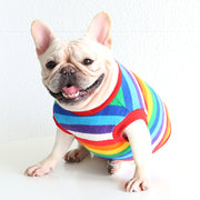 ドッグウエア ペットウエア タンクトップ ボーダー柄 カラフル レインボー 虹色 ミックスボーダー 犬の服 犬服 リブ プルオーバー ラウンドネック 洋服 猫服 カジュアル かわいい キュート おしゃれ 犬用 小型犬 中型犬 春 秋 冬 ペット用品 お散歩 外遊び 公園 普段着 お出かけ ペットグッズ ワンちゃん