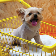 犬用ツナギ 犬用カバーオール 犬用カットソー 犬服 ドッグウェア ペットウェア 小型犬 中型犬 イヌ 猫 ネコ ペット服 ペットグッズ ペット用品 長袖 長ズボン プルオーバー 無地 ブラウン ブルー ホワイト シンプル カジュアル 可愛い キュート おしゃれ 秋 冬