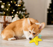 ペット用おもちゃ 噛むおもちゃ ラバートイ 犬用 玩具 音が鳴る 音が出る ストレス解消 ヒトデ ラグビー サボテン ペット用品 おもちゃ オモチャ ペットグッズ 犬グッズ