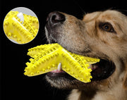 ペット用おもちゃ 噛むおもちゃ ラバートイ 犬用 玩具 音が鳴る 音が出る ストレス解消 ヒトデ ラグビー サボテン ペット用品 おもちゃ オモチャ ペットグッズ 犬グッズ