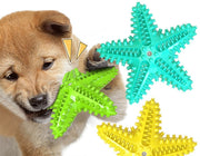 ペット用おもちゃ 噛むおもちゃ ラバートイ 犬用 玩具 音が鳴る 音が出る ストレス解消 ヒトデ ラグビー サボテン ペット用品 おもちゃ オモチャ ペットグッズ 犬グッズ