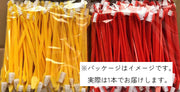 ペット用品 犬用 猫用 ペット用歯ブラシ 三角形 ダブルヘッド ホワイト ブラック ブルー レッド シンプル 衛生 虫歯予防 口腔ケア