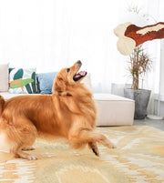 おもちゃ ラバートーイ 犬用 ペット イヌ 犬 ドッグ ペットグッズ 玩具 噛む 投げる 遊ぶ 肉 骨 ストレス解消 ストレス発散 コミュニケーション