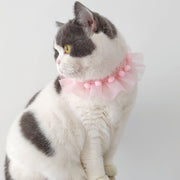 チョーカー 首飾り 猫用  犬用 ペット用 アクセサリー レース チュール メッシュ ぽんぽん 可愛い おしゃれ おめかし ペットグッズ