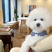 ペットウェア カットソー 犬服 猫服 洋服 ドッグウェア キャットウェア 犬用 猫用 ボーダー リブ ボタン 散歩 お出かけ ペット服