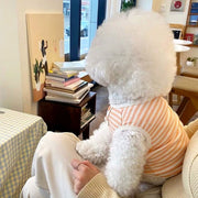 ペットウェア カットソー 犬服 猫服 洋服 ドッグウェア キャットウェア 犬用 猫用 ボーダー リブ ボタン 散歩 お出かけ ペット服